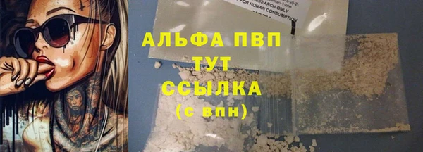 ПСИЛОЦИБИНОВЫЕ ГРИБЫ Гусь-Хрустальный