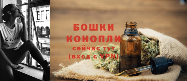 крисы Дмитриев