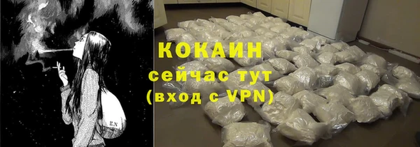 ПСИЛОЦИБИНОВЫЕ ГРИБЫ Гусь-Хрустальный