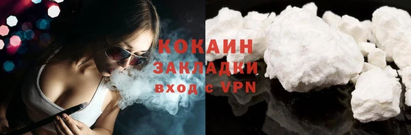 ПСИЛОЦИБИНОВЫЕ ГРИБЫ Гусь-Хрустальный