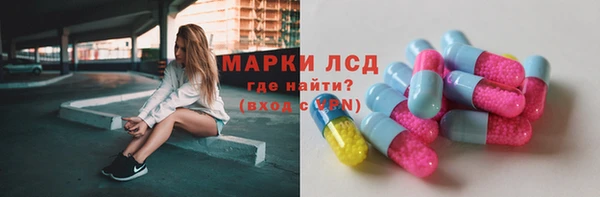 ПСИЛОЦИБИНОВЫЕ ГРИБЫ Гусь-Хрустальный