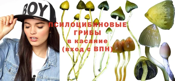 прущие крисы Гусиноозёрск
