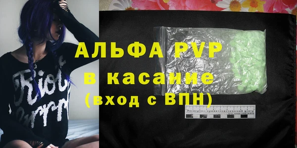 ПСИЛОЦИБИНОВЫЕ ГРИБЫ Гусь-Хрустальный
