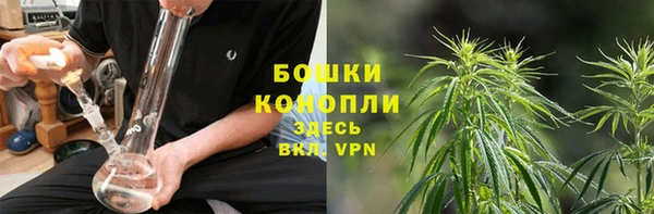 ПСИЛОЦИБИНОВЫЕ ГРИБЫ Гусь-Хрустальный