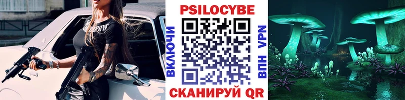Псилоцибиновые грибы мицелий  Княгинино 